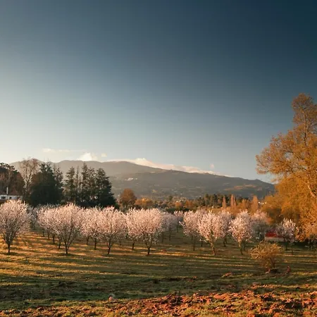 Lugar Da Pedra Alta - - Private Historical Bed & Breakfast *