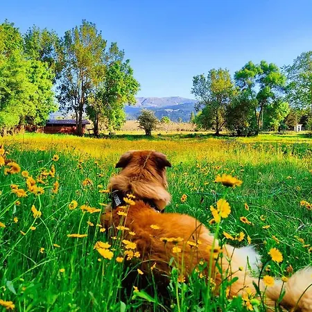 Lugar Da Pedra Alta - - Private Historical * Melo
