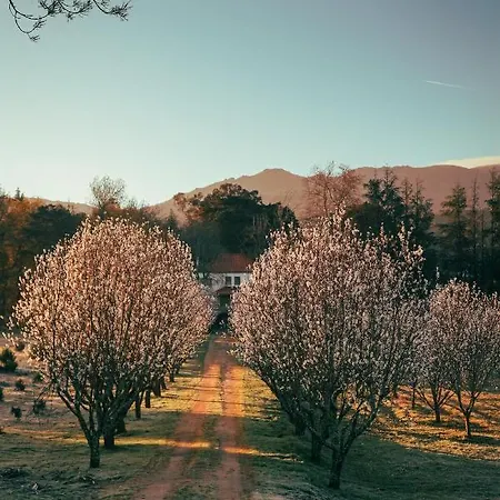 住宿加早餐酒店 Lugar Da Pedra Alta - - Private Historical