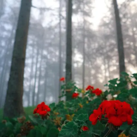 Lugar Da Pedra Alta - - Private Historical Bed & Breakfast Melo