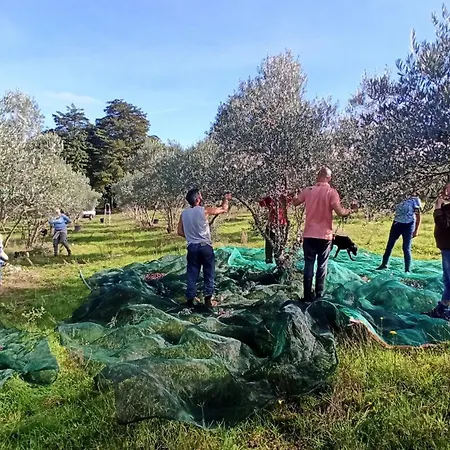 Lugar Da Pedra Alta - - Private Historical