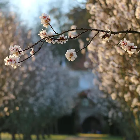 Lugar Da Pedra Alta - - Private Historical Melo