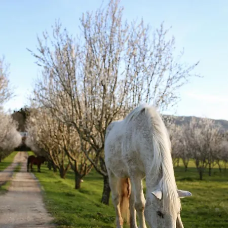 Lugar Da Pedra Alta - - Private Historical Bed & Breakfast