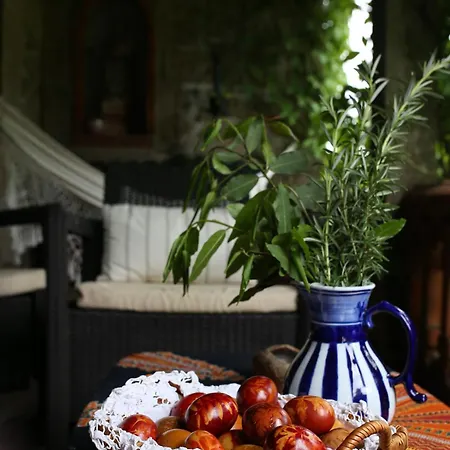 Lugar Da Pedra Alta - - Private Historical 住宿加早餐酒店 *