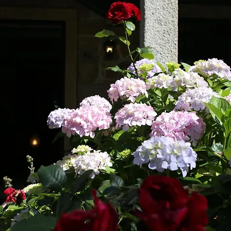 Bed and Breakfast Lugar Da Pedra Alta - - Private Historical *