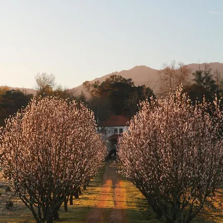 Lugar Da Pedra Alta - - Private Historical Bed & Breakfast