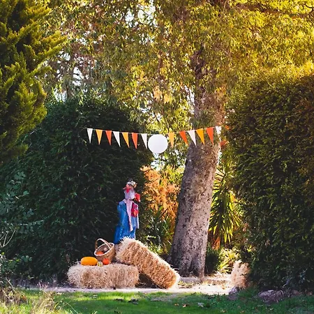 Bed & Breakfast Lugar Da Pedra Alta - - Private Historical Melo