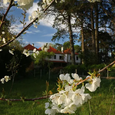Lugar Da Pedra Alta - - Private Historical *