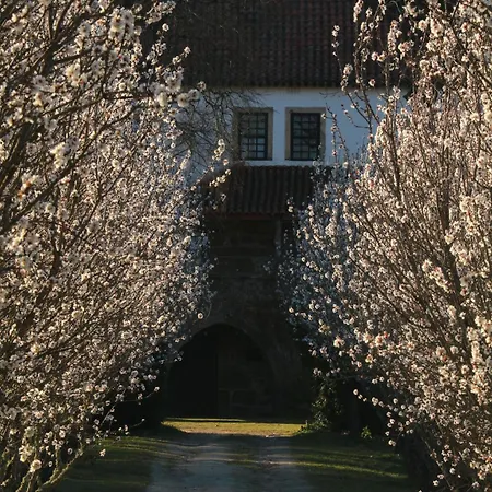 Bed & Breakfast Lugar Da Pedra Alta - - Private Historical