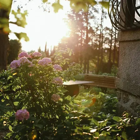 Lugar Da Pedra Alta - - Private Historical