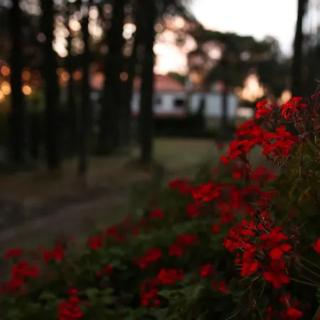Lugar Da Pedra Alta - - Private Historical * Melo