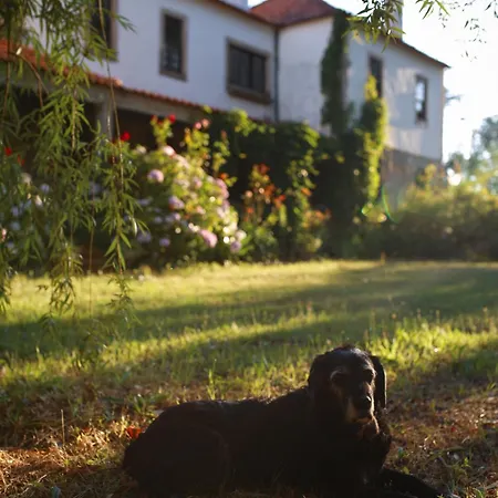 Lugar Da Pedra Alta - - Private Historical Bed & Breakfast *