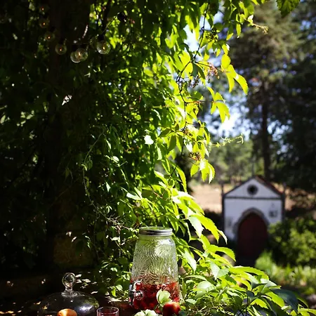 Lugar Da Pedra Alta - - Private Historical *