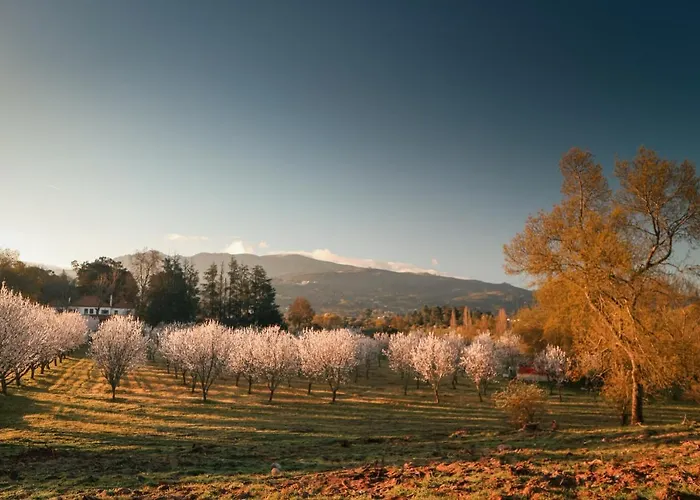 Lugar Da Pedra Alta - - Private Historical Couette-café *