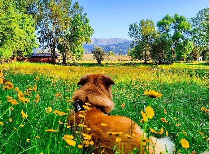 Lugar Da Pedra Alta - - Private Historical * Melo