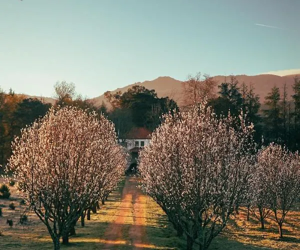 Couette-café Lugar Da Pedra Alta - - Private Historical