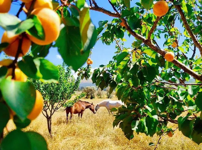 Lugar Da Pedra Alta - - Private Historical