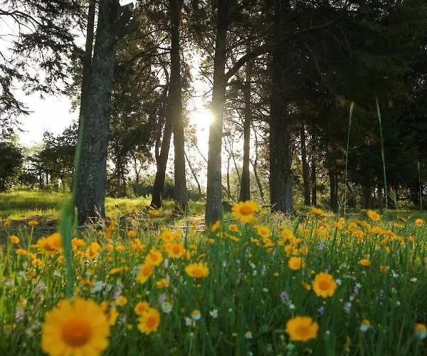 Lugar Da Pedra Alta - - Private Historical Couette-café *