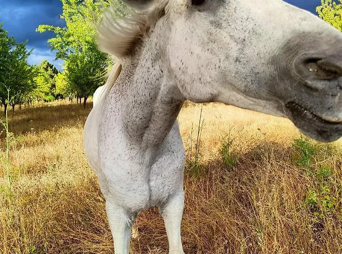 Lugar Da Pedra Alta - - Private Historical Couette-café *