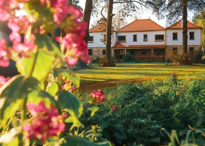 Lugar Da Pedra Alta - - Private Historical Couette-café