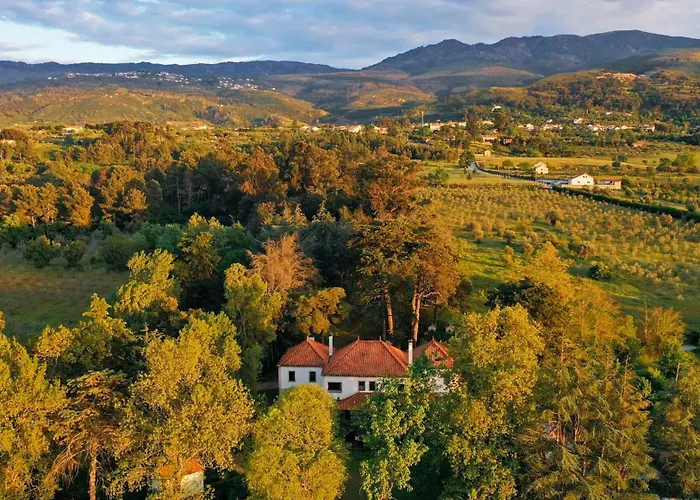 Lugar Da Pedra Alta - - Private Historical Couette-café