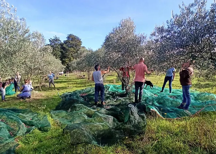 Lugar Da Pedra Alta - - Private Historical
