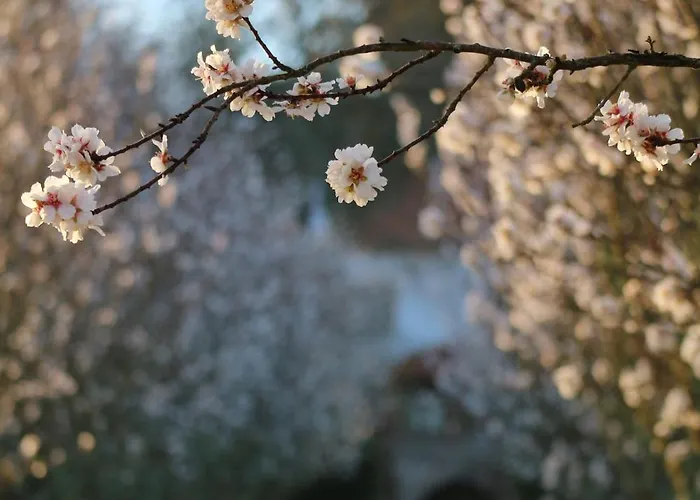 Lugar Da Pedra Alta - - Private Historical Melo