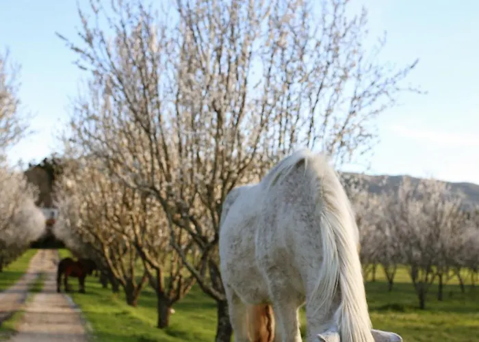 Lugar Da Pedra Alta - - Private Historical Couette-café