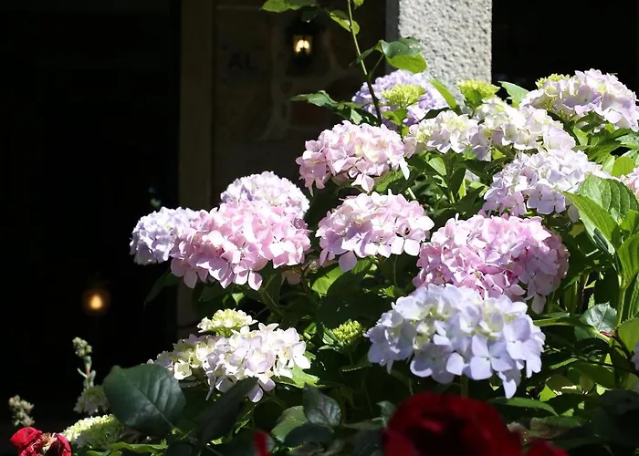 Couette-café Lugar Da Pedra Alta - - Private Historical *