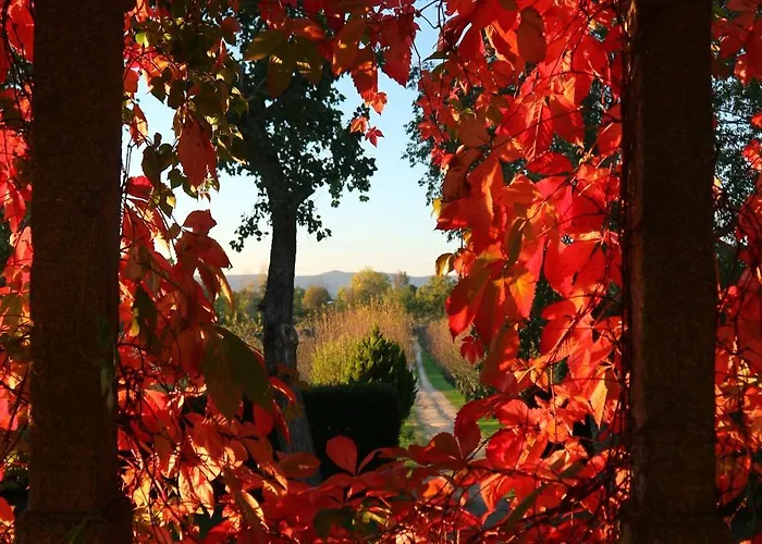 Lugar Da Pedra Alta - - Private Historical *