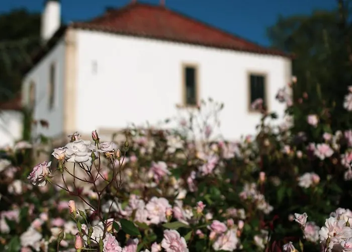 Lugar Da Pedra Alta - - Private Historical * Melo