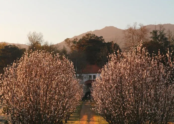 Lugar Da Pedra Alta - - Private Historical Couette-café