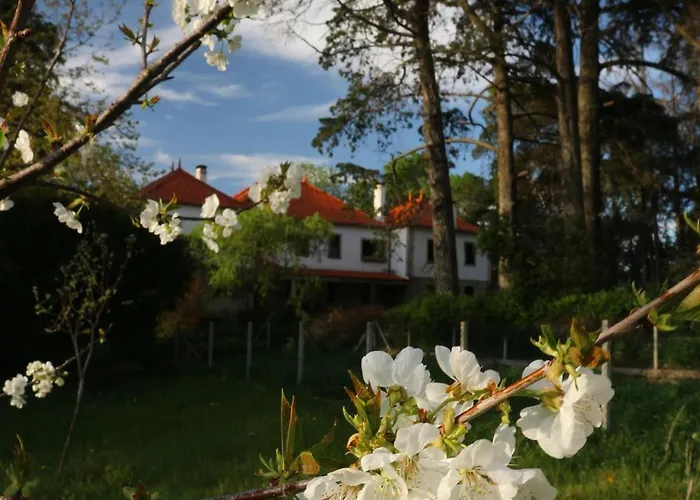 Lugar Da Pedra Alta - - Private Historical *