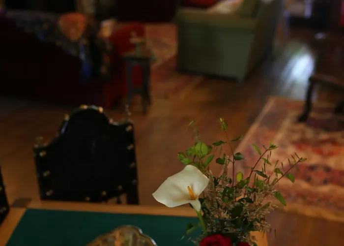 Lugar Da Pedra Alta - - Private Historical Couette-café