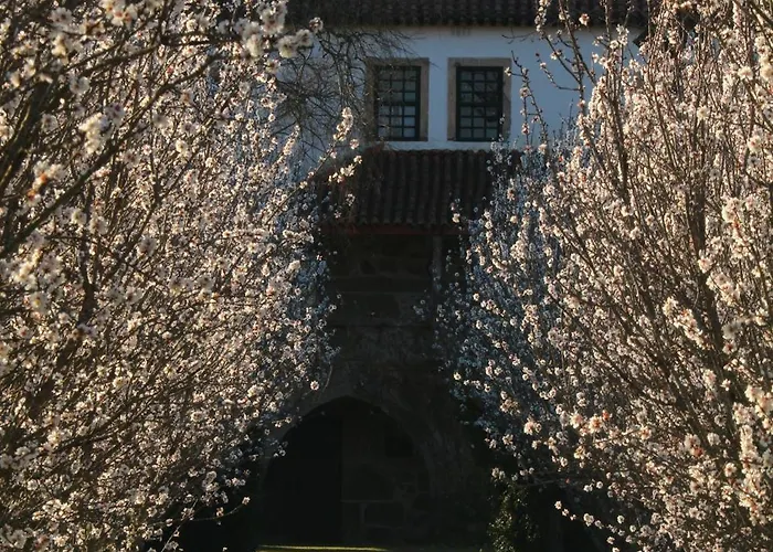 Couette-café Lugar Da Pedra Alta - - Private Historical