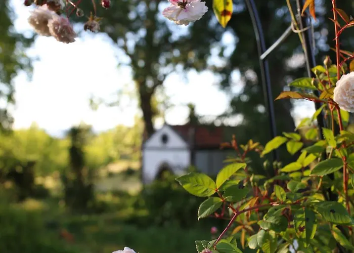 Lugar Da Pedra Alta - - Private Historical * Melo