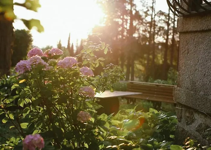 Lugar Da Pedra Alta - - Private Historical