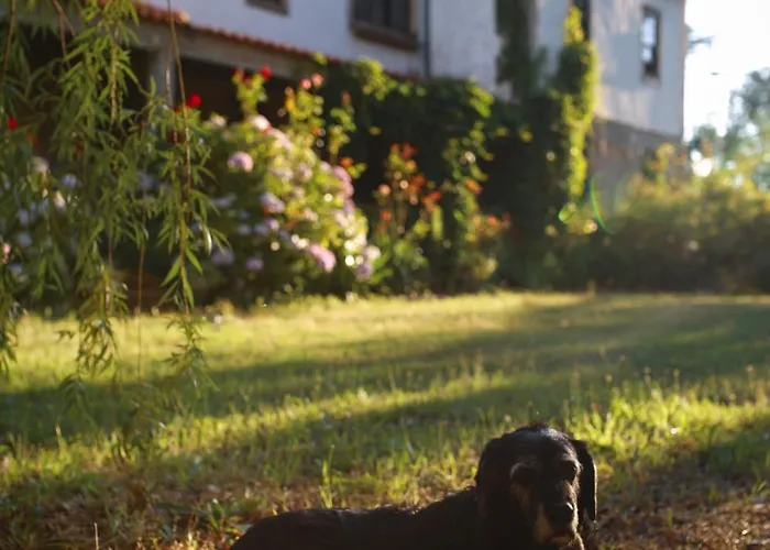 Lugar Da Pedra Alta - - Private Historical Couette-café *